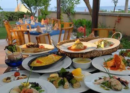 Barut Labada Camyuva